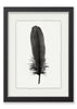 Feather #6