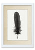 Feather #6