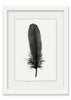 Feather #6