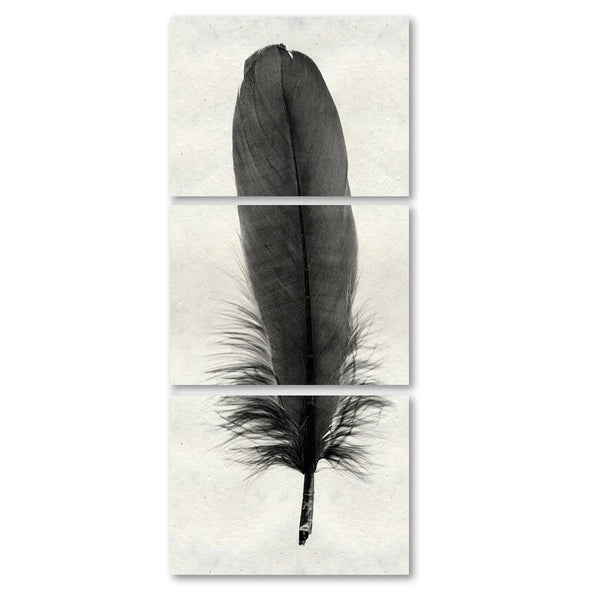 Feather #6 Triptych