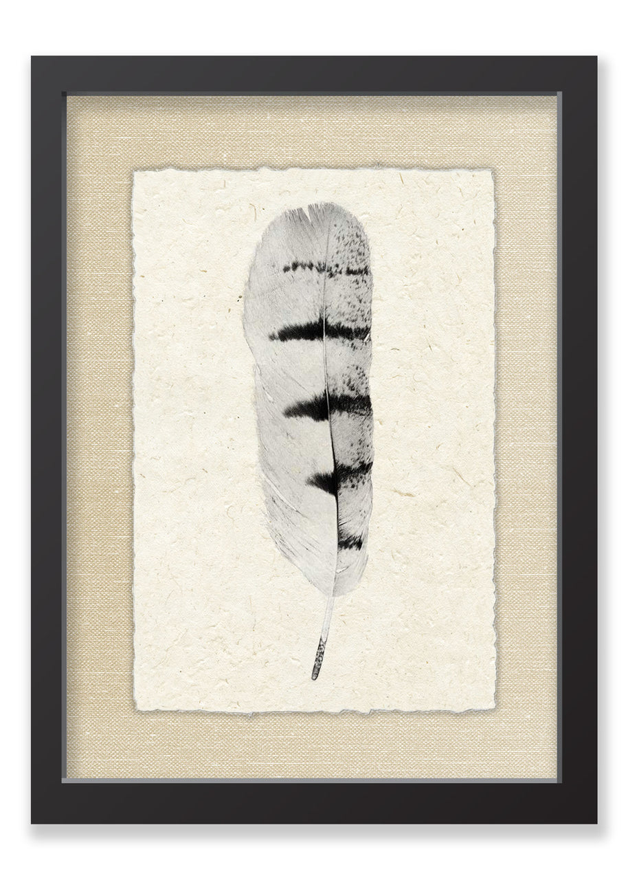 Feather #8