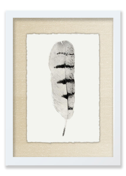 Feather #8