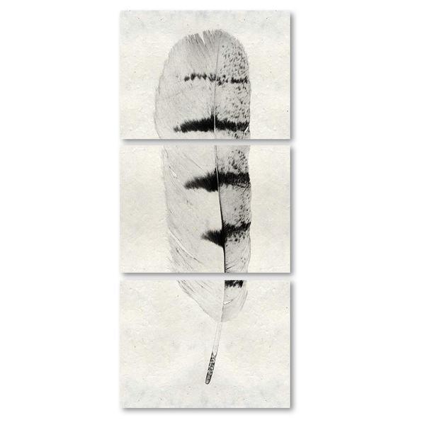 Feather #8 Triptych