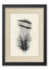 Feather #15