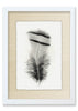 Feather #15