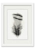 Feather #15