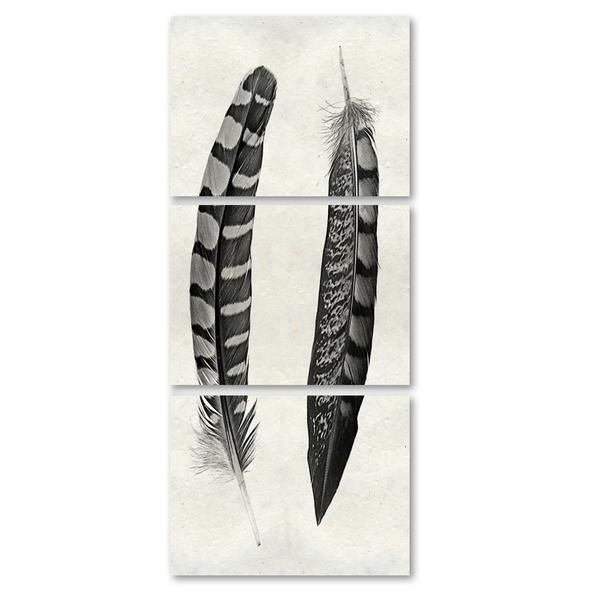 Two Curved Feathers Triptych